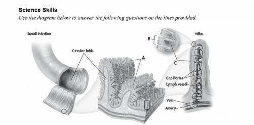 Apply Concepts: Based on your knowledge of the four tissues found in the body, which type of tissue