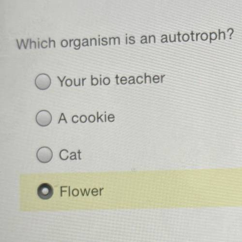 Which organism is an autotroph?