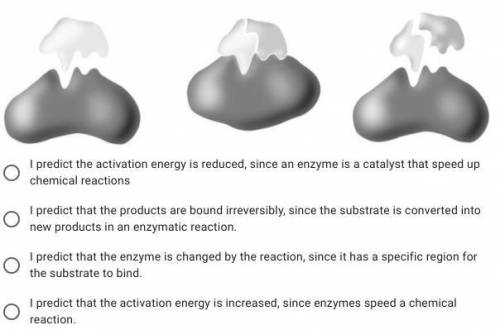 Using the diagram below, please make a prediction what occurs when an enzyme and a substrate intera