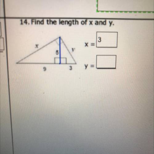 Find the length of x and y