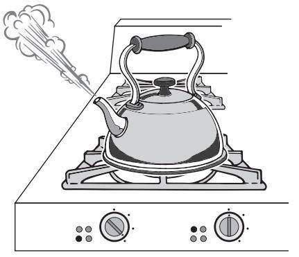 Which statement describes the energy changes that occur when water in a tea kettle is heated on a s
