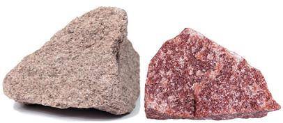 PLZ FASTLEY ANSWER The images show two metamorphic rock samples.

Left: light colored rock with co