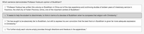 Which sentence demonstrates Professor Hodous’s opinion of Buddhism?