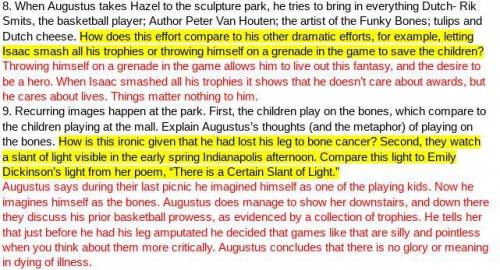 If you read The Fault in Our Stars, please look at the screenshot and help me!