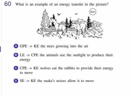 PLEASEEE HELPPP!! what is an example of an energy transfer in the picture?