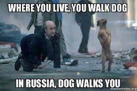In America you walk dog, in Soviet Russia dog walks you.
(/◕ヮ◕)/