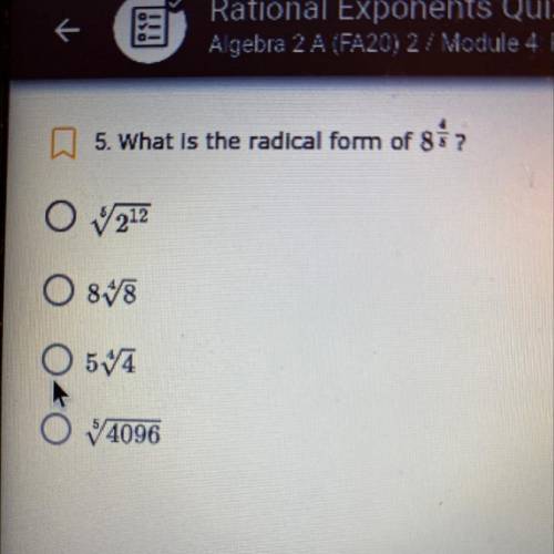 Help out with this questions pls