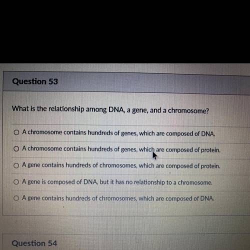 What is the relationship among DNA, a gene, and a chromosome?