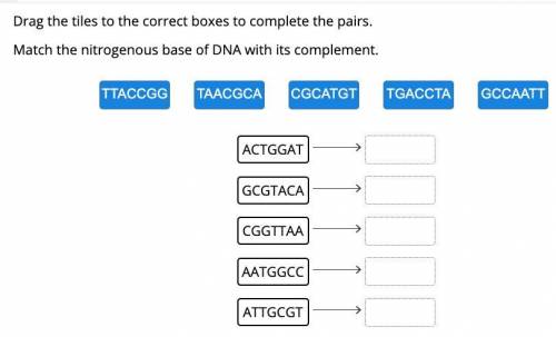 Something about DNA or something

help is appreciated
best and correct answer gets brainliest plus