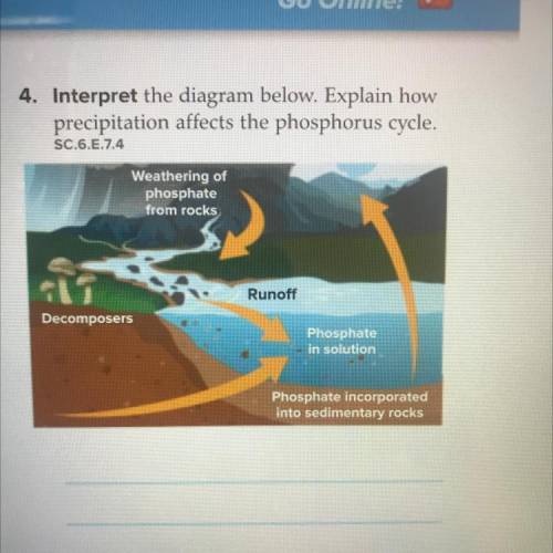 Explain how precipitation affects the phosphorus cycle
