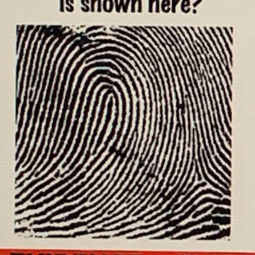 What type of fingerprint pattern is this?

-plain whorl
-central whorl
-double whorl
-plain arch