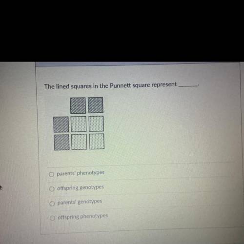 Which one is the correct answer?? The lined squares in the Punnett square represent____.