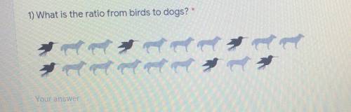 1) What is the ratio from birds to dogs
PLEASE ANSWER THIS IS DO TONIGHT