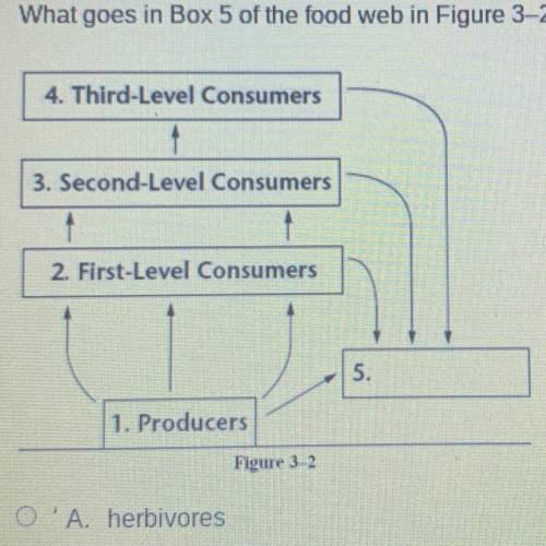 What goes in Box 5 of the food web in Figure 3-2?

A) herbivores
B) scavengers
C) carnivores 
D) d