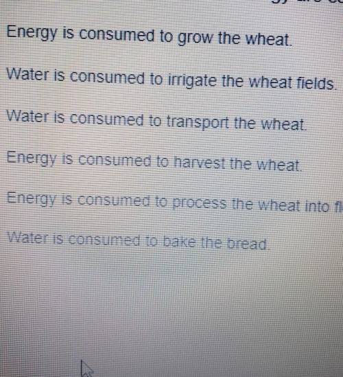 Select the three ways water and energy are consumed in the production of store-bought bread