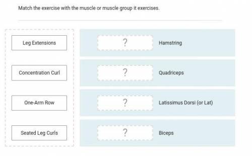 Match the exercise with the muscle or muscle group it exercises.