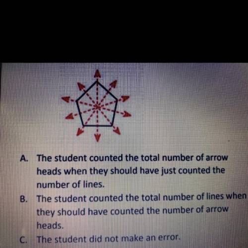 A student thinks that the regular pentagon in the diagram

has 10 lines of symmetry. Explain the s
