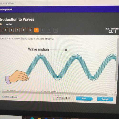 What is the motion of the particles in this kind of wave?

O The particles will move up and down o