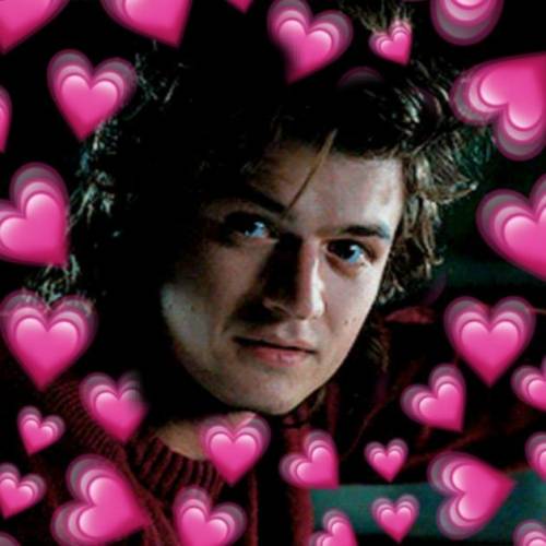 For all who simp for Steve Harrington here's your daily dose <33

im totally not a simp for him