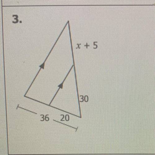 Solve for x pls hurry