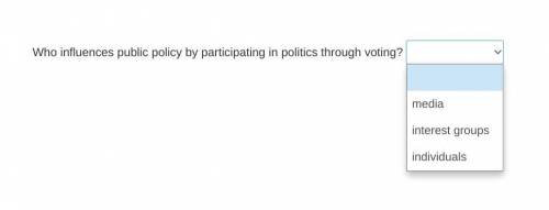 Who influences public policy by participating in politics through voting?
