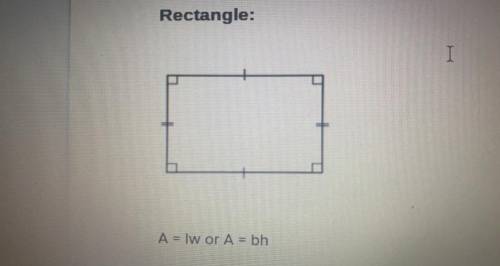 The area of a rectangle with a length of 11 feet in 99 square feet. What is the width of the rectan