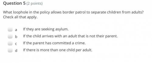 What loophole in the policy allows border patrol to separate children from adults? Check all that a