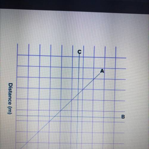 Which line
represents
constant speed?
