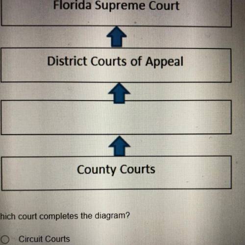 The diagram below provides details about the Florida court system.

1 Florida Supreme Court
2 Dist