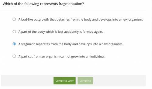 Which of the following represents fragmentation?