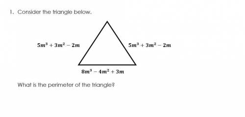 Hi can you answer this for math pls