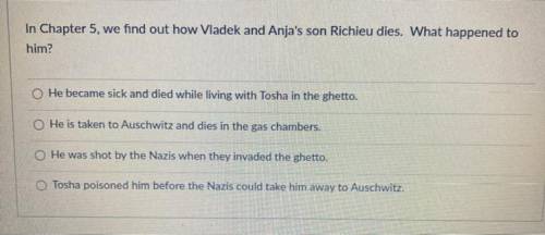 PLEASE ANSWE ITS TIMED! Only answer if you’ve read Maus please