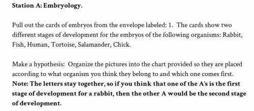 Add evidence based on reading: Read the section titled: Station A: Similar Embryos. Based on the re