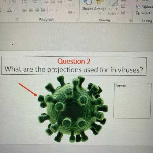 What are the projections used for in viruses?
