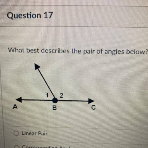 What best describes the pair of angles below?