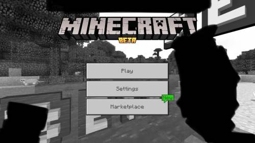 Can anyone help me out??

My sisters mincraft wont load her skins and we dont know how to turn off