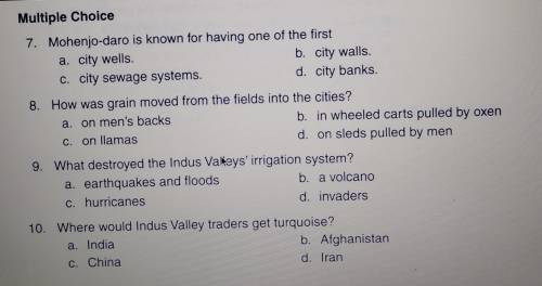 The indus Valley Mutiple Choice