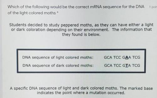Which of the following would be the correct mRNA sequence for the DNA of the light colored moths...