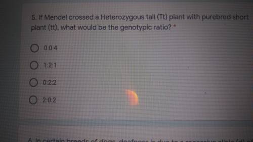 What is the genotype ratio?