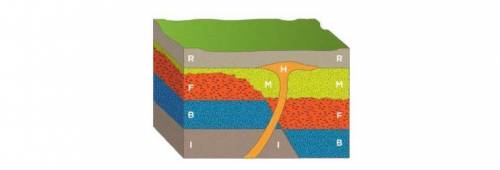 Between which two rock layers did the fault occur? How do you know?