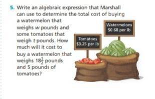Write an algebraic expression that Marshall can use to determine the total cost of buying a waterme