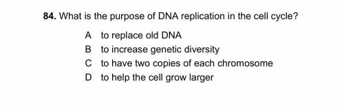 The purpose of DNA replication in the cell cycle?