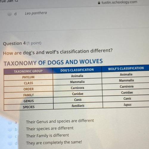How are dog's and wolf's classification different?

TAXONOMY OF DOGS AND WOLVES
TAXONOMIC GROUP
DO