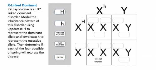 PLEASE HELP BRAINLIEST AND 75 POINT FREEBIE TO PERSON WHO CORRECTLY

ANSWERSX-Linked DominantRett