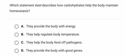 Which statement best describes how carbohydrates help the body maintain homeostasis