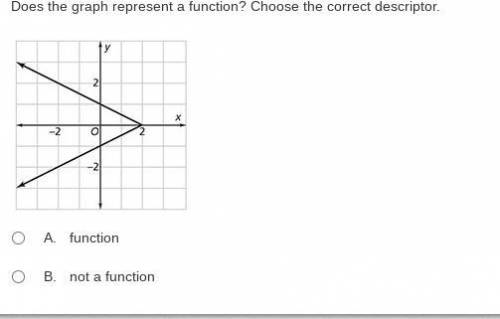 Does the graph represent a function? Choose the correct descriptor.