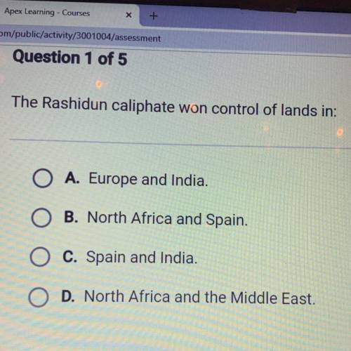 The Rashidun caliphate won control of lands in:

A. Europe and India.
B. North Africa and Spain.
C