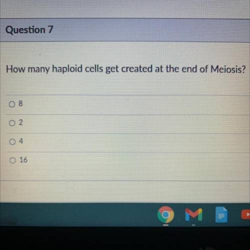 How many haploid cells get created at the end of Meiosis?
A: 8
B: 2
C: 4
D: 16