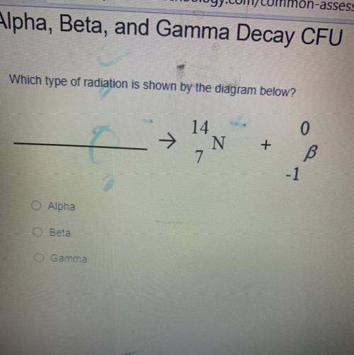 Sorry that it looks kinda blurry but I need help with this question please I would really appreciat