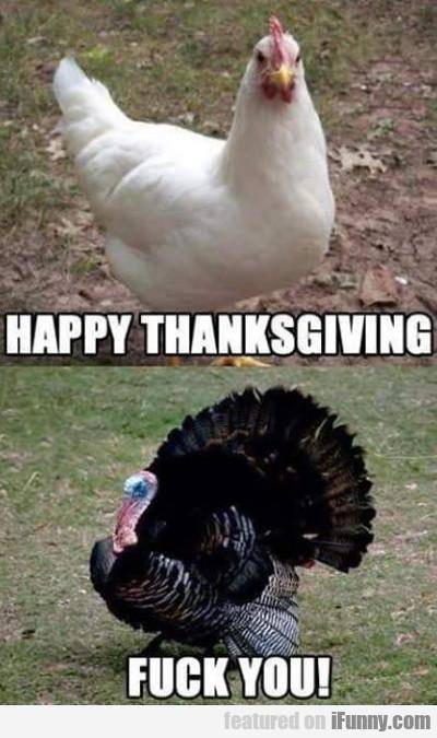 I think that turkey is anti-social